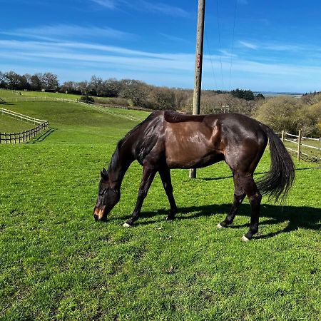 Byre - Farm Cottage On 9 Acre Equestrian Small Holding Salisbury Exteriör bild