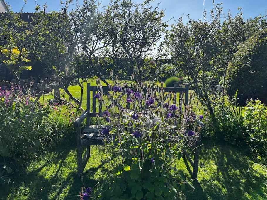 Byre - Farm Cottage On 9 Acre Equestrian Small Holding Salisbury Exteriör bild