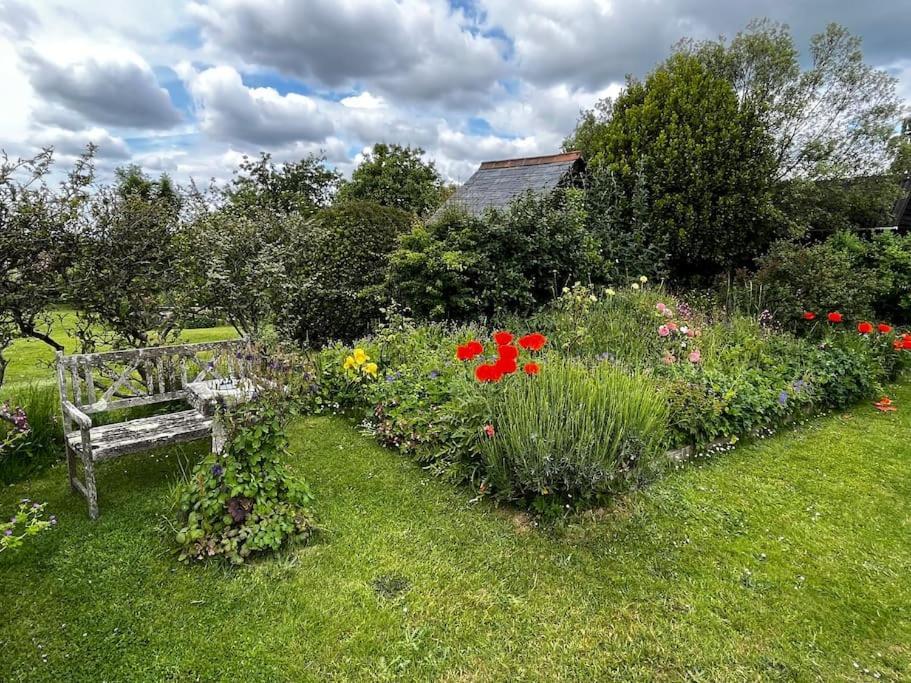 Byre - Farm Cottage On 9 Acre Equestrian Small Holding Salisbury Exteriör bild
