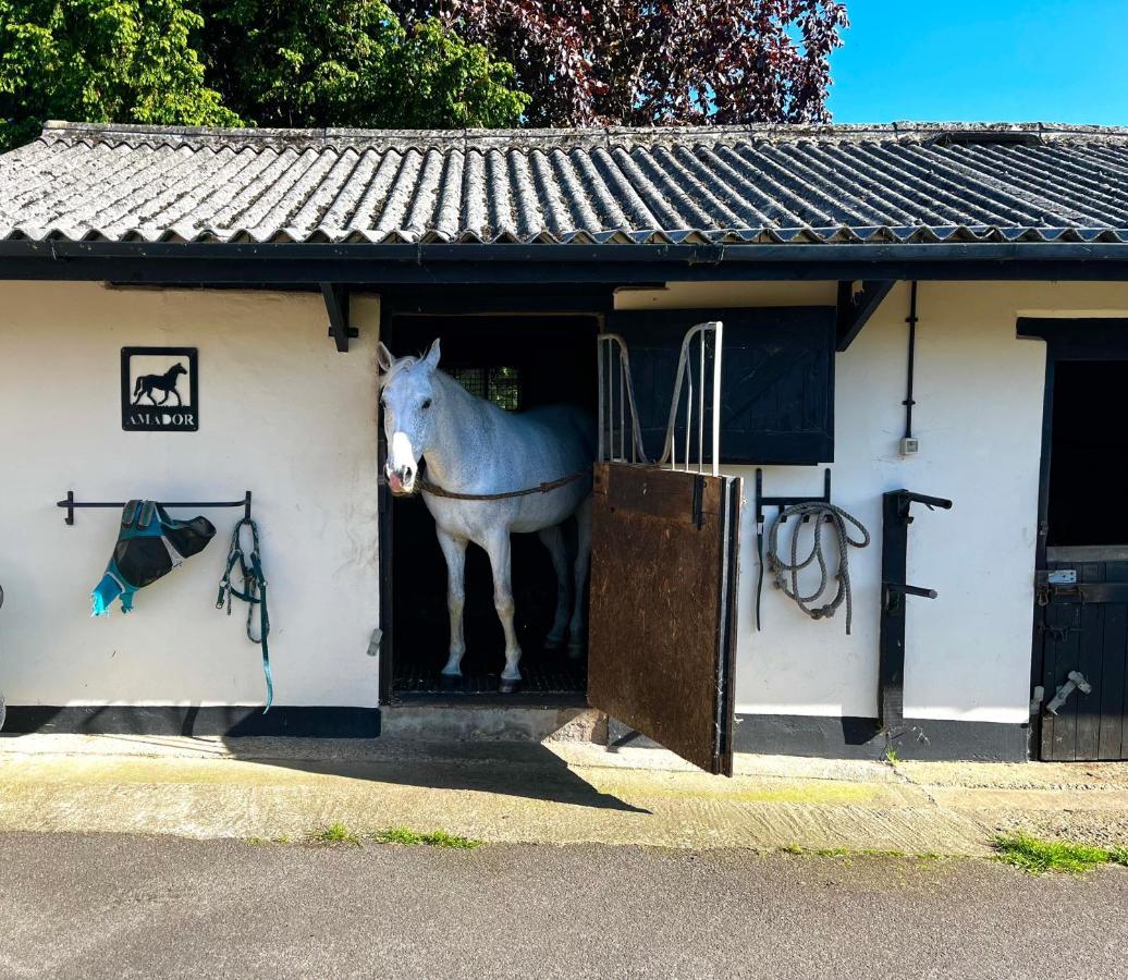 Byre - Farm Cottage On 9 Acre Equestrian Small Holding Salisbury Exteriör bild
